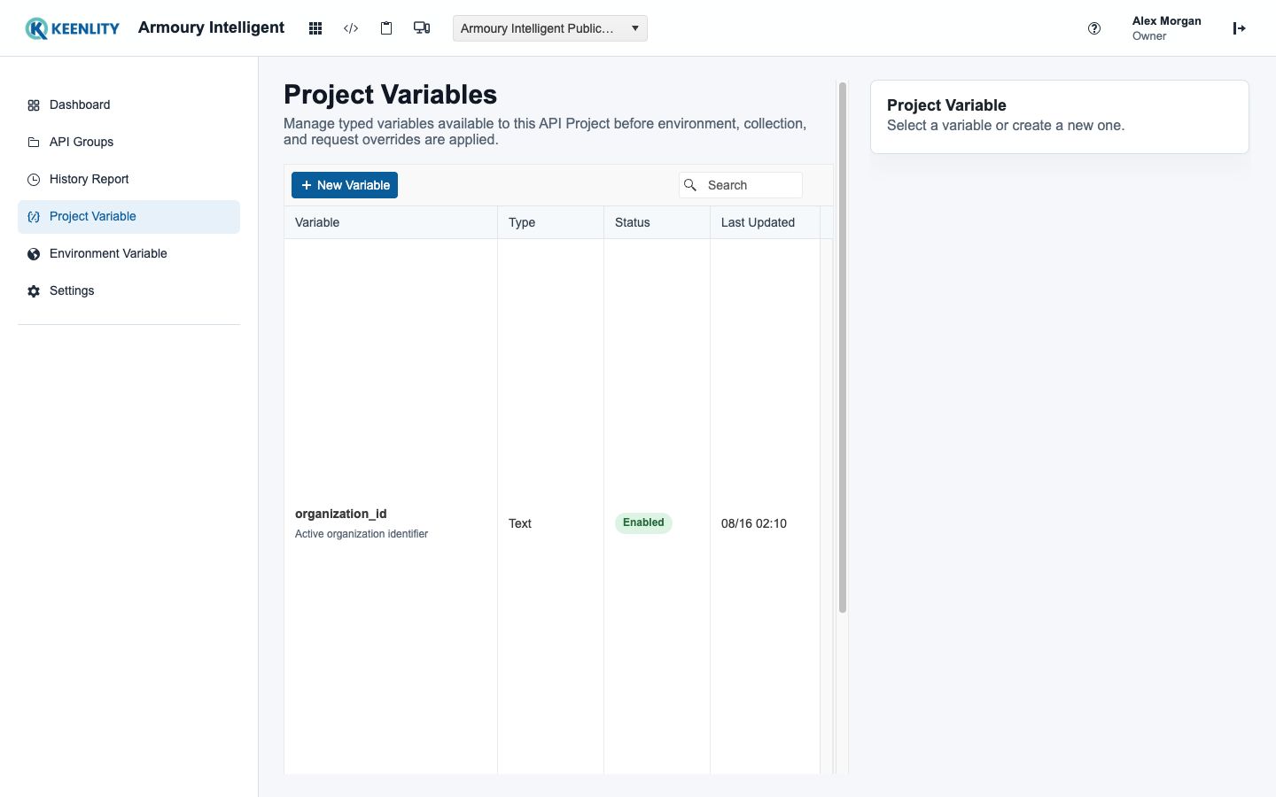 Typed variables for an API Project